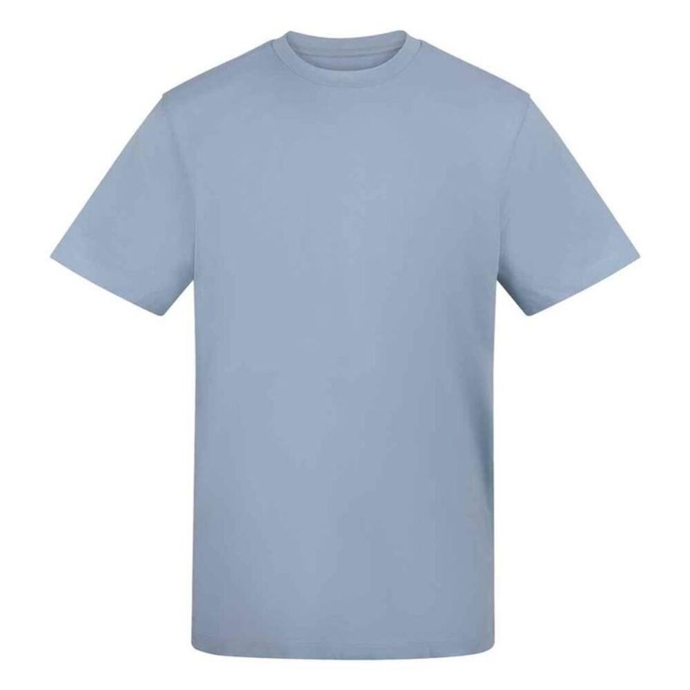 Awdis Unisex Adult Cotton T-Shirt / Sky Blue